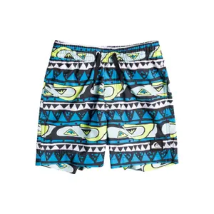 Boy's swim shorts Quiksilver Next Gen Volley image-0