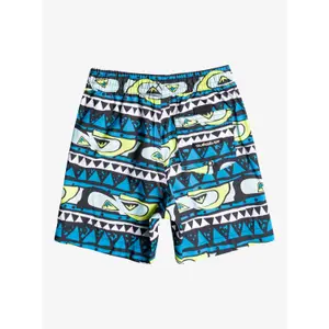 Boy's swim shorts Quiksilver Next Gen Volley image-1