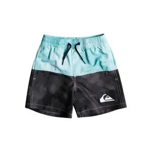 Boy's swim shorts Quiksilver Acid Five Volley image-0