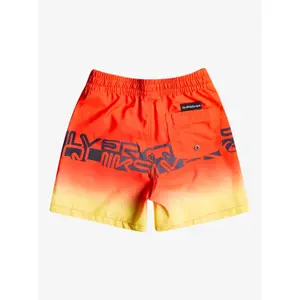 Boy's swim shorts Quiksilver Wordblock Volley 12 image-1