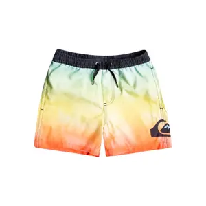 Boy shorts Quiksilver Everyday Faded Logo Vl 12Nb image-0