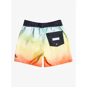 Boy shorts Quiksilver Everyday Faded Logo Vl 12Nb image-1