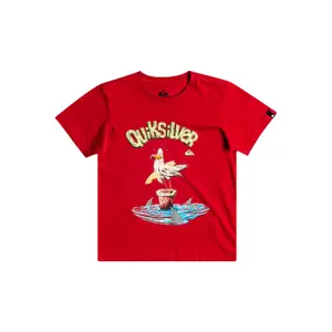 Child's T-shirt Quiksilver Seagulls image-0