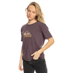 T-shirt femme Quiksilver Extra Standard image-0