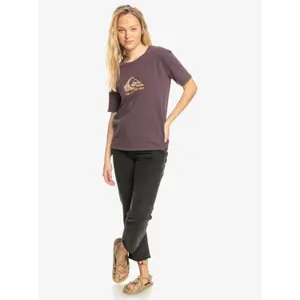 T-shirt femme Quiksilver Extra Standard image-1
