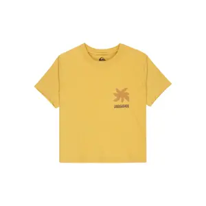 Női póló Quiksilver Standard image-0