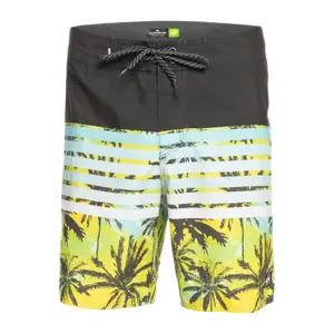 Short Quiksilver Everyday Swell Vision 18 image-0