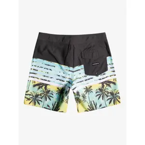Short Quiksilver Everyday Swell Vision 18 image-2