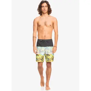 Short Quiksilver Everyday Swell Vision 18 image-5