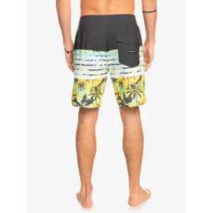 Short Quiksilver Everyday Swell Vision 18 image-6