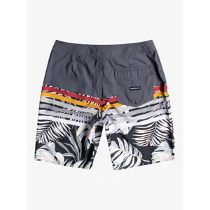 Short de bain Quiksilver Everyday Swell Vision 20 image-5
