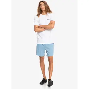 Short Quiksilver Essentials image-1