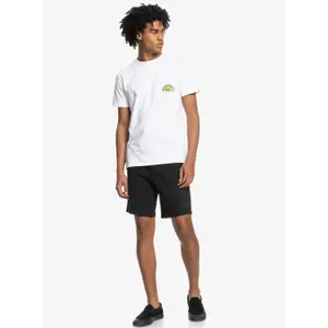 Short Quiksilver Essentials image-2