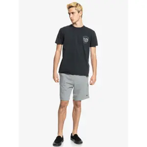 Short Quiksilver Essentials image-3
