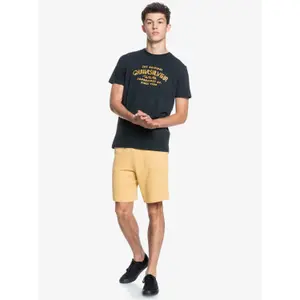 Short Quiksilver Essentials image-6