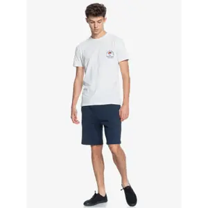 Short Quiksilver Delmar image-5
