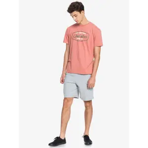Short Quiksilver Delmar image-3
