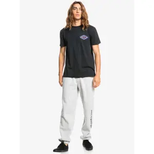 Pantalon de jogging Quiksilver Trackpant Screen image-2