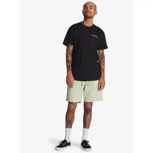 Short Quiksilver Trip Away image-2