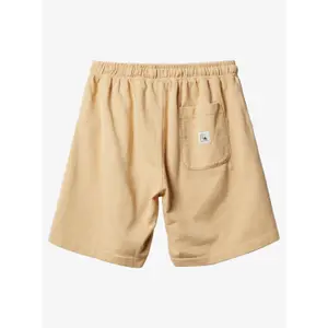 Short Quiksilver Trip Away image-5