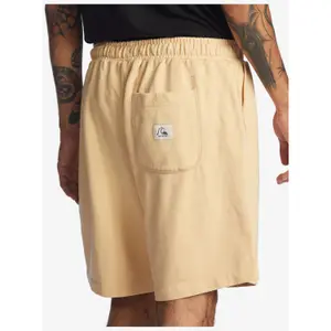Short Quiksilver Trip Away image-6