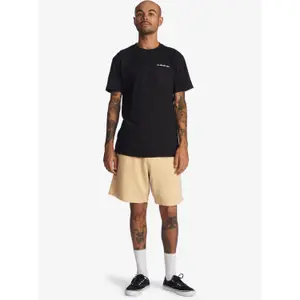 Short Quiksilver Trip Away image-2