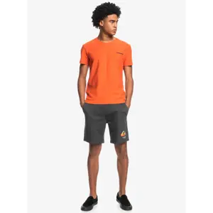 Short de bain Quiksilver Local image-2