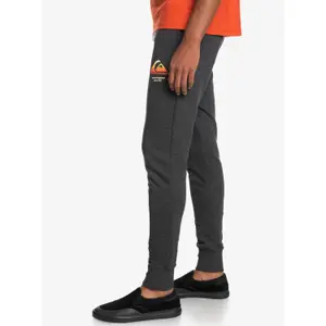 Pantalon de jogging Quiksilver Block Slim image-3