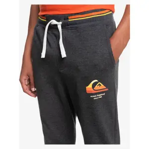 Pantalon de jogging Quiksilver Block Slim image-6