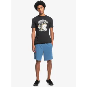 Short de bain décontracté Quiksilver image-2