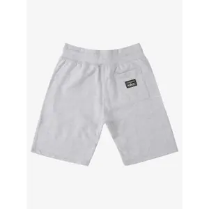 Short Quiksilver Peanuts Local Legend Flce image-5