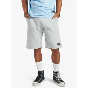 Short Quiksilver Peanuts Local Legend Flce image-1