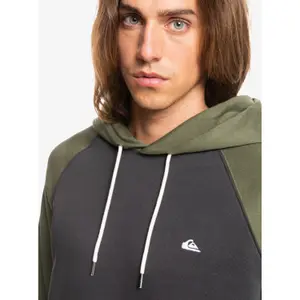 Sweatshirt à capuche Quiksilver Everyday image-6