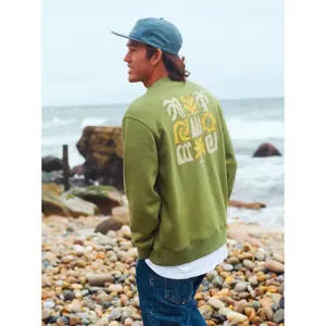 Sweatshirt Quiksilver Salt Water Graphic image-6