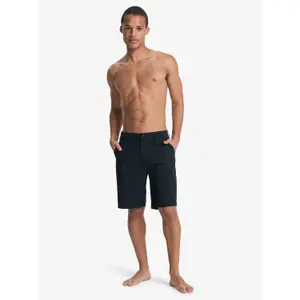 Curta Quiksilver Union Amph 20" image-3