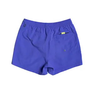 Short de bain Quiksilver Everyday Volley 15 image-2