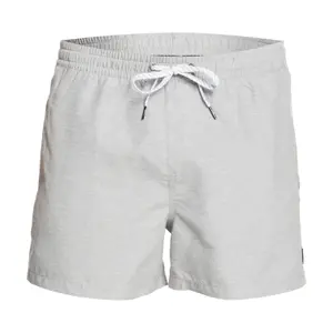 Short de bain Quiksilver Everyday Volley 15 image-0