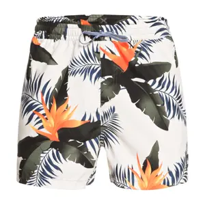 Short de bain Quiksilver Poolsider Volley 15 image-0