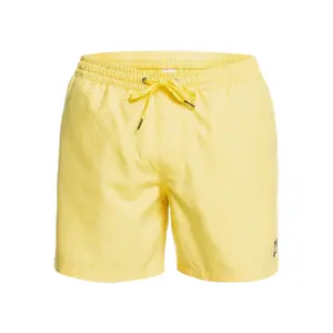 Short de bain Quiksilver Everyday Volley 15 image-0