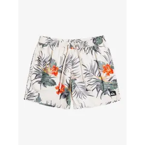 Short de bain Quiksilver Paradise Express Volley 15 image-1