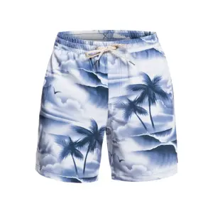 Short de bain Quiksilver Mystic Session Str Volley 17Nb image-0