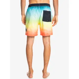 Short de bain Quiksilver Everyday Faded Logo Volley image-5