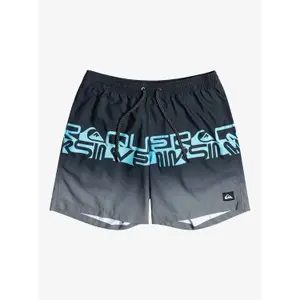 Short de bain Quiksilver Wordblock Volley image-1