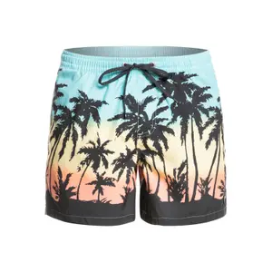 Short de bain Quiksilver Everyday Paradise Volley image-0
