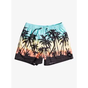 Short de bain Quiksilver Everyday Paradise Volley image-1