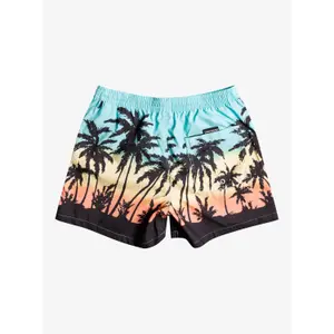 Short de bain Quiksilver Everyday Paradise Volley image-5