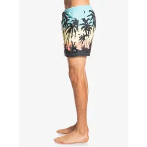 Short de bain Quiksilver Everyday Paradise Volley image-4