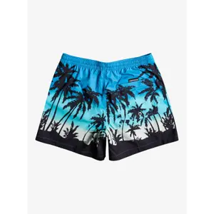 Short de bain Quiksilver Everyday Paradise Volley image-4