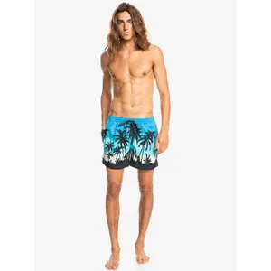 Short de bain Quiksilver Everyday Paradise Volley image-2
