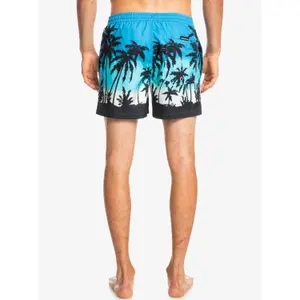 Short de bain Quiksilver Everyday Paradise Volley image-5